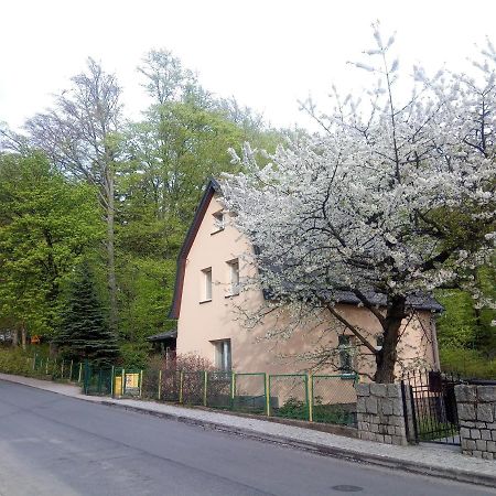 Willa Rozalia Szklarska Poręba Zewnętrze zdjęcie